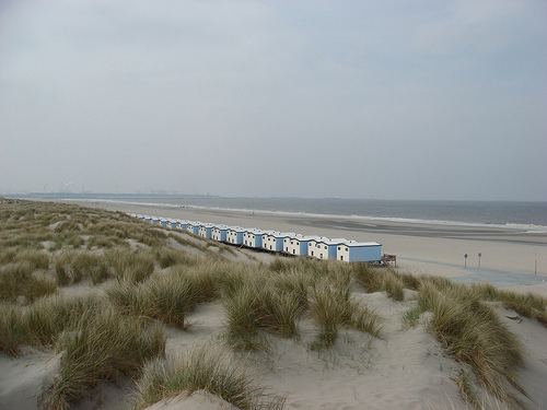 sfeervolle shutters hoek van holland